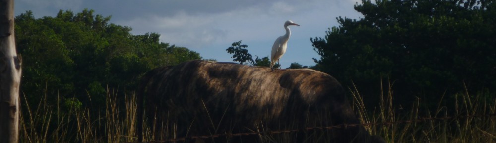 Kate and Brian's Website